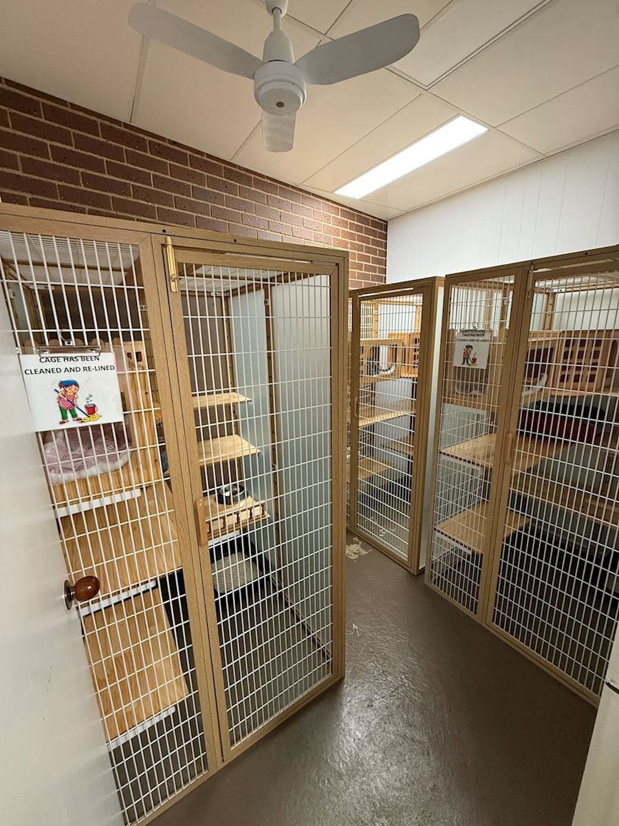 Spacious accommodation