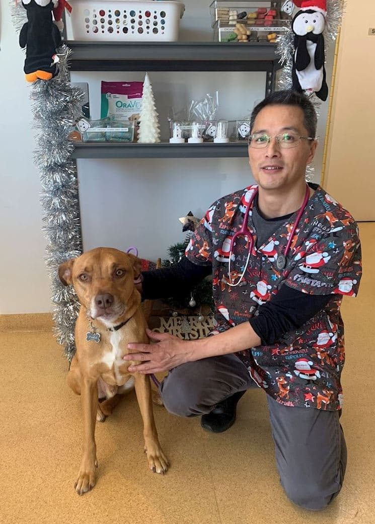 Christmas clinic visit