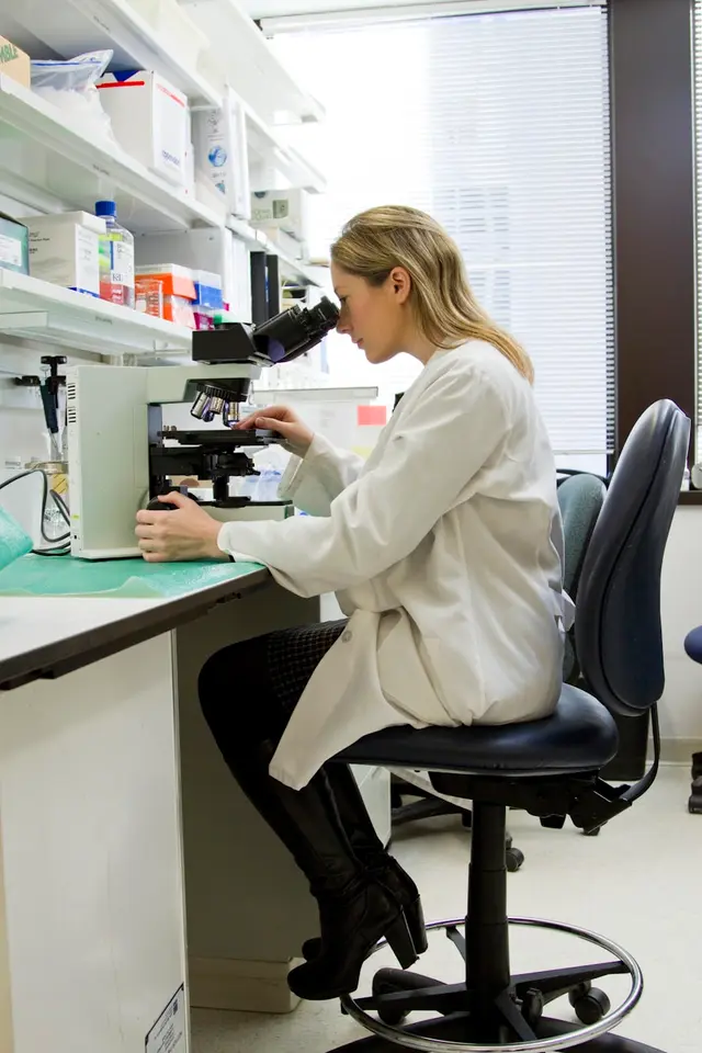 Pathology at Ringwood East Vetcare